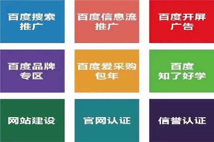 专业SEM代运营公司案例分享：品牌曝光秘诀